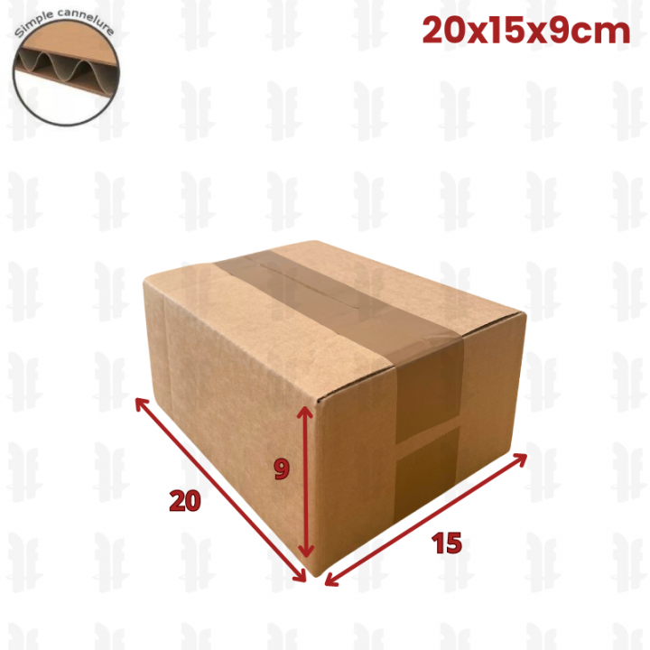 20 cartons caisse américaine 20x15x9 (fefco 201)