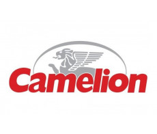 Piles Camelion